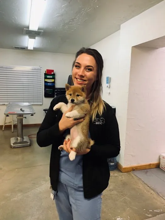 Brookhollow Veterinary Clinic Picture 10