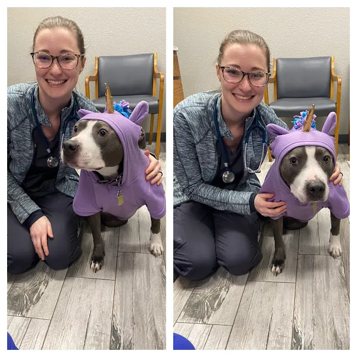 Healthy Paws Animal Hospital Picture 7