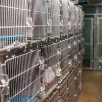 Taylor Veterinary Clinic ico