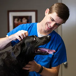 Taylor Veterinary Clinic Picture 5