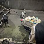 C4 Veterinary Hospital