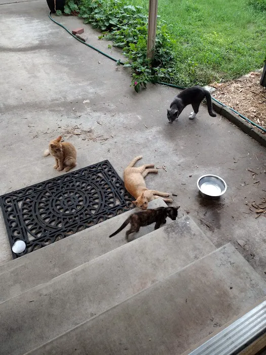 C4 Veterinary Hospital Picture 8