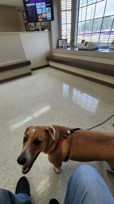 West Loop Animal Hospital Picture 4