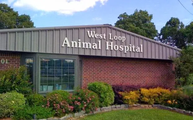 West Loop Animal Hospital Picture 10