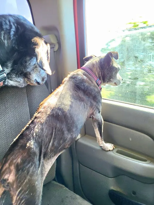 East Texas Pet Emergency Clinic Picture 1