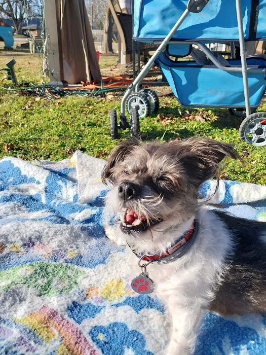 East Texas Pet Emergency Clinic Picture 7