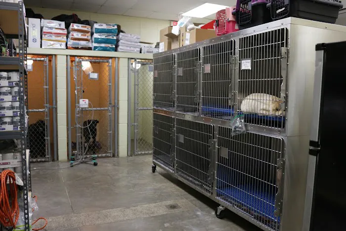Little Animal Hospital Picture 7