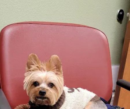 Dogwood Animal Hospital