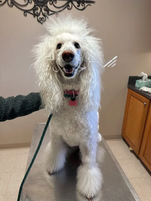 Dogwood Animal Hospital Picture 4