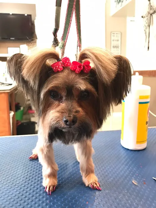 Dogwood Animal Hospital Picture 9