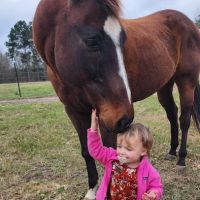 Judson Road Animal Clinic ico