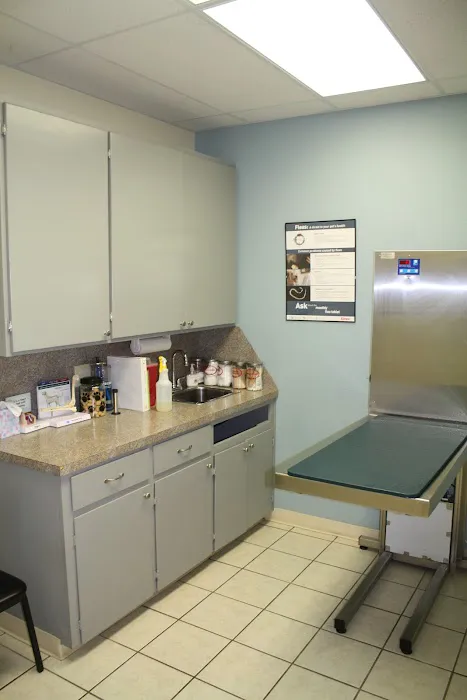 Judson Road Animal Clinic Picture 5