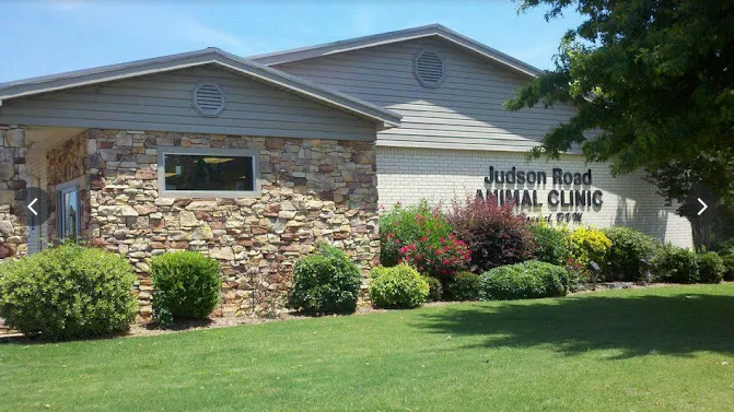 Judson Road Animal Clinic Picture 10