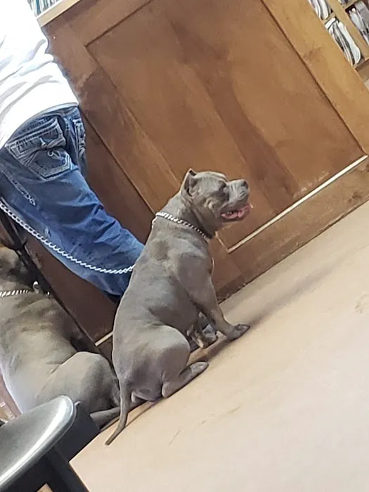 Kilgore Veterinary Associates Picture 8