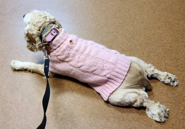 Kilgore Veterinary Associates Picture 10