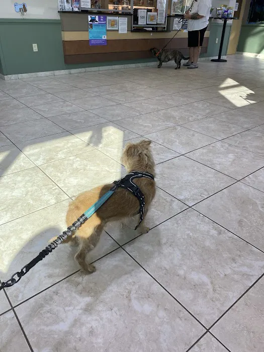 Kimbrough Animal Hospital Picture 3