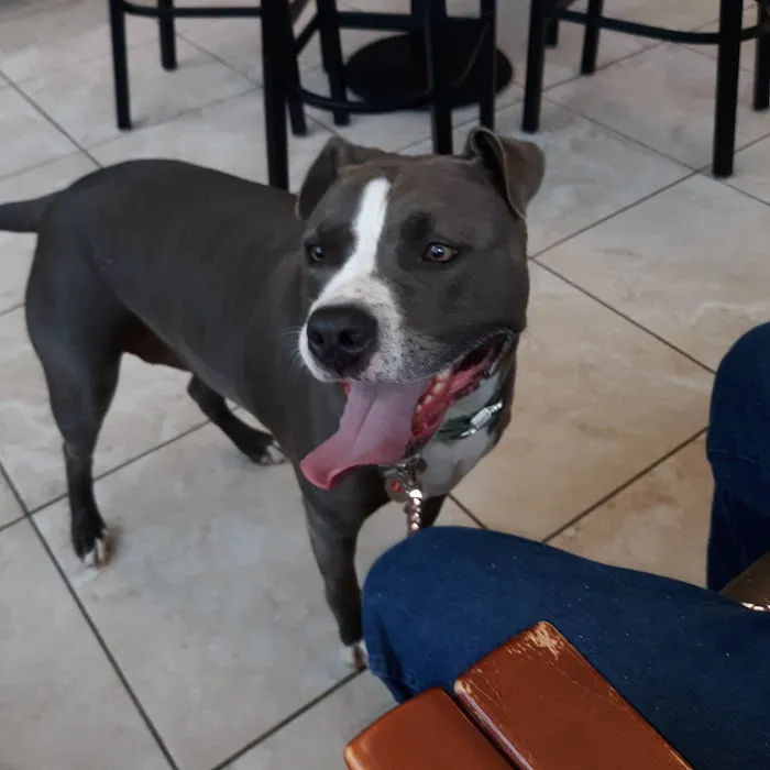 Kimbrough Animal Hospital Picture 7