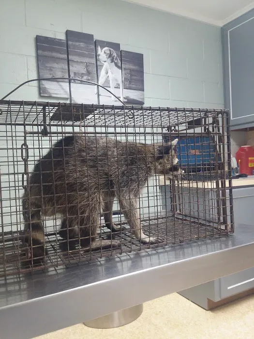 Hughes Springs Veterinary Hospital Picture 4