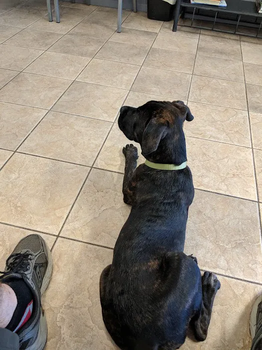 Hughes Springs Veterinary Hospital Picture 6