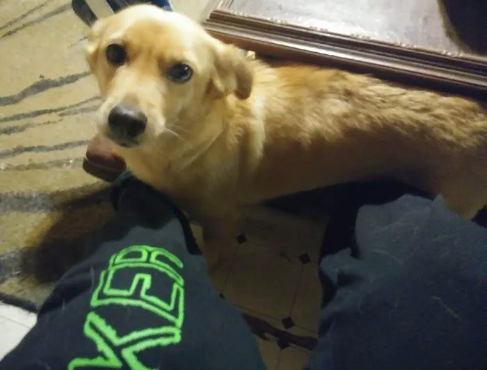 Hughes Springs Veterinary Hospital Picture 10