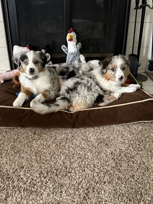 Fries Veterinary Clinic Picture 2