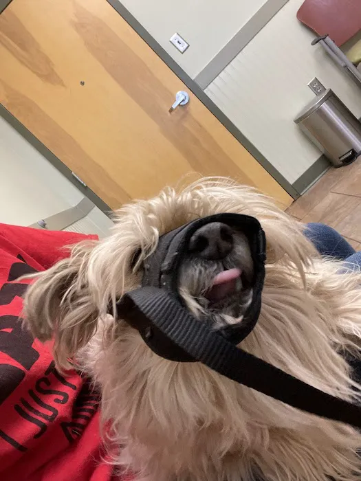 Flint River Animal Hospital Picture 1