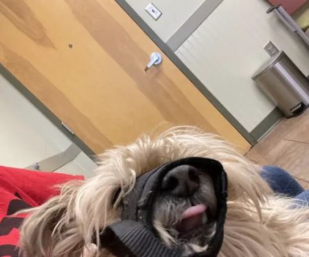 Flint River Animal Hospital