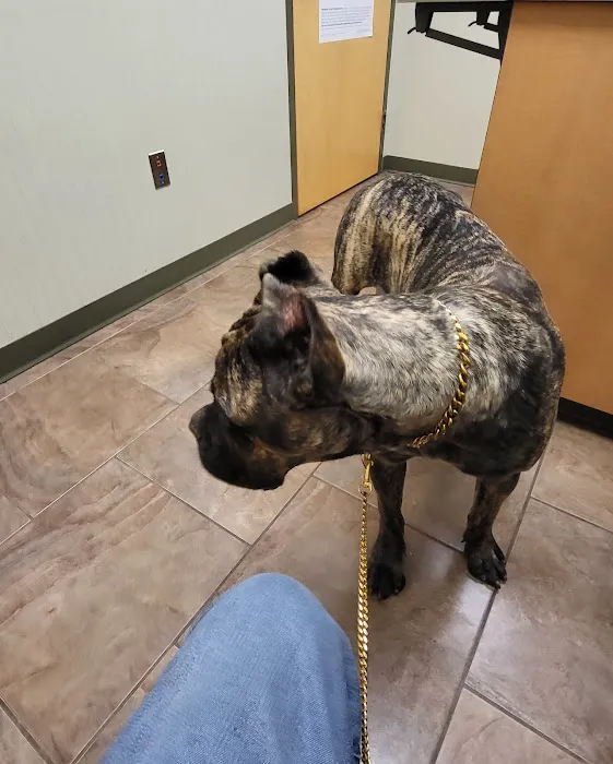 Flint River Animal Hospital Picture 7