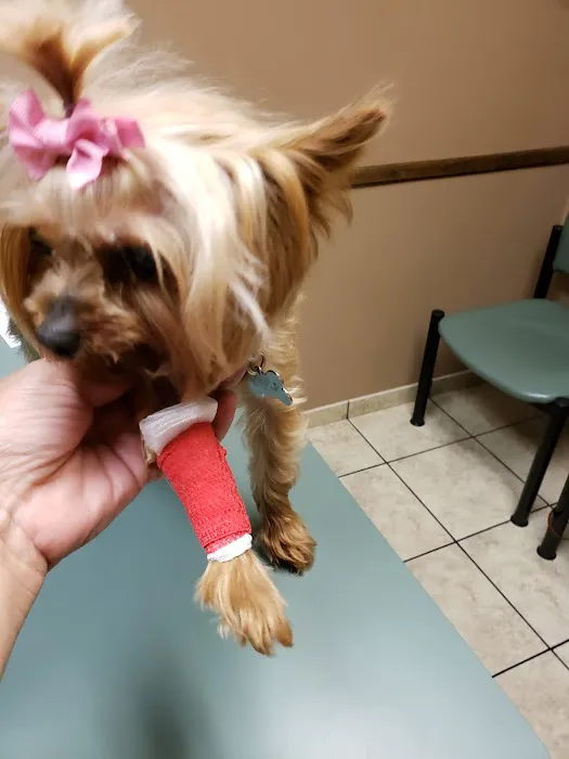 Winchester Road Animal Hospital Picture 8