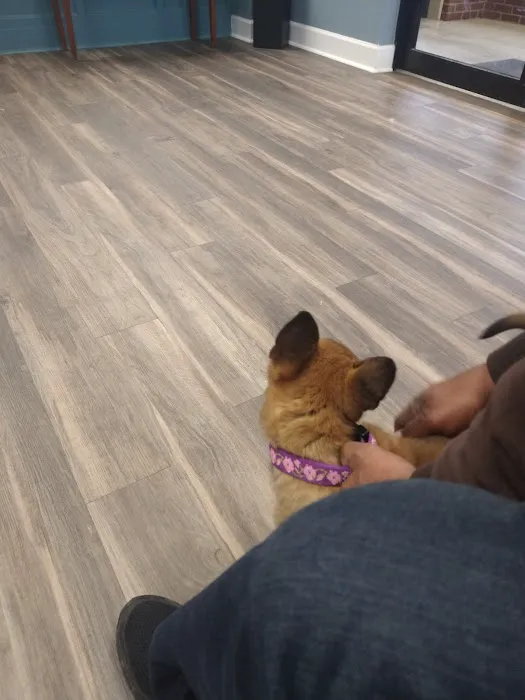 Bentley Animal Hospital Picture 1