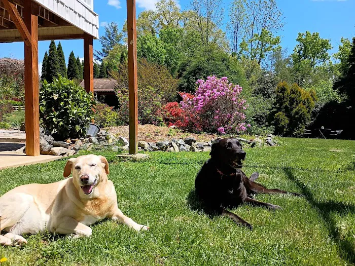 Bentley Animal Hospital Picture 3