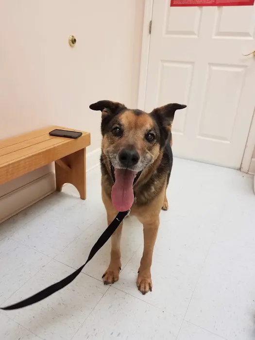 Bentley Animal Hospital Picture 6