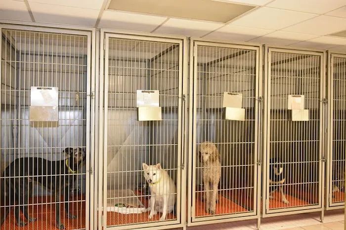 Family Pet Care Picture 5