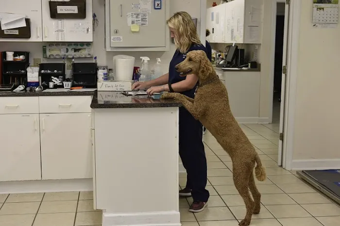 Family Pet Care Picture 3