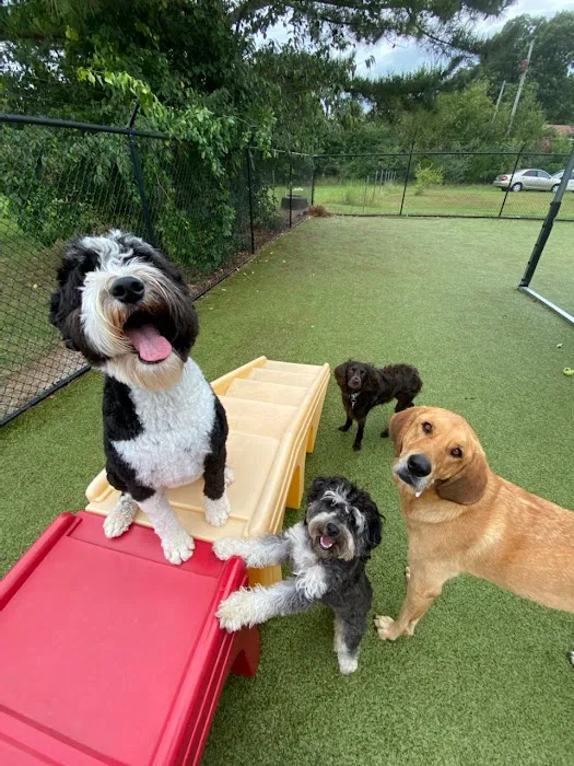 Chase Animal Hospital Picture 7