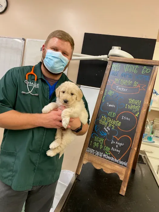 Chase Animal Hospital Picture 10