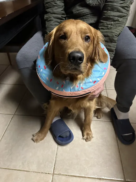 North Alabama Spay Neuter Picture 1