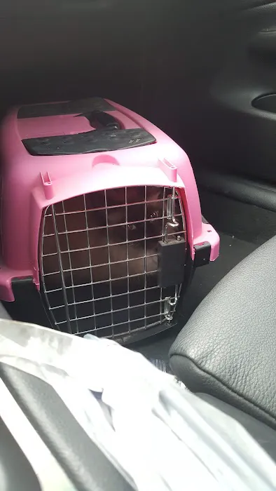 North Alabama Spay Neuter Picture 10