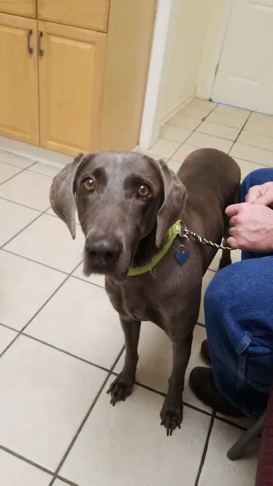 Family Pet Care: Milford Joanna DVM Picture 1