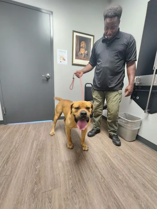 Rocket City Veterinary Hospital Pine Grove Picture 6