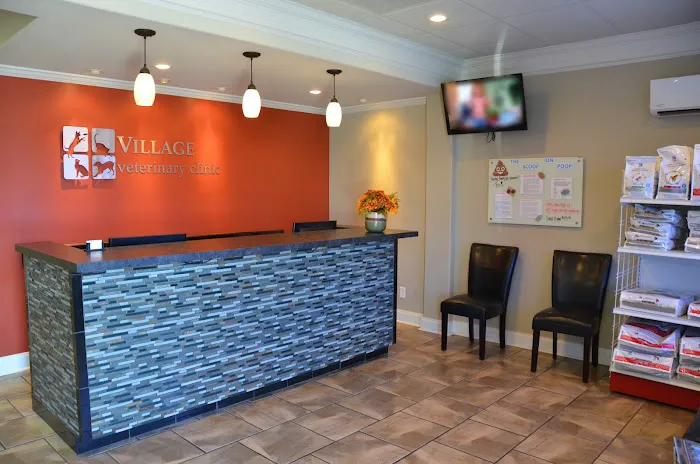 Village Veterinary Clinic Picture 7