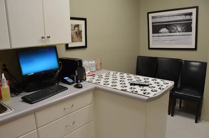 Village Veterinary Clinic Picture 4