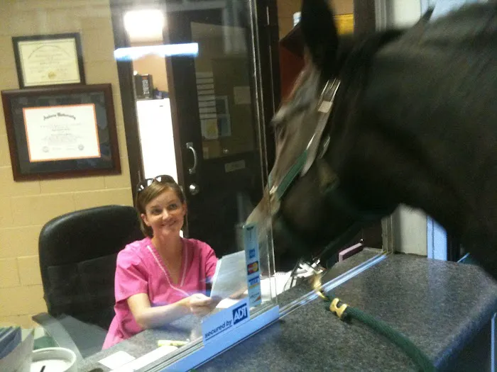 Tennessee Equine Hospital South Picture 8
