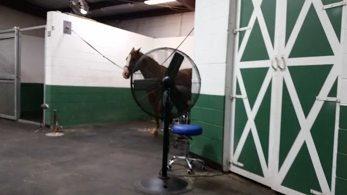 Tennessee Equine Hospital South Picture 9