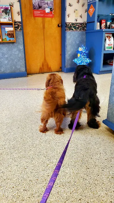 Northway Animal Hospital Picture 4