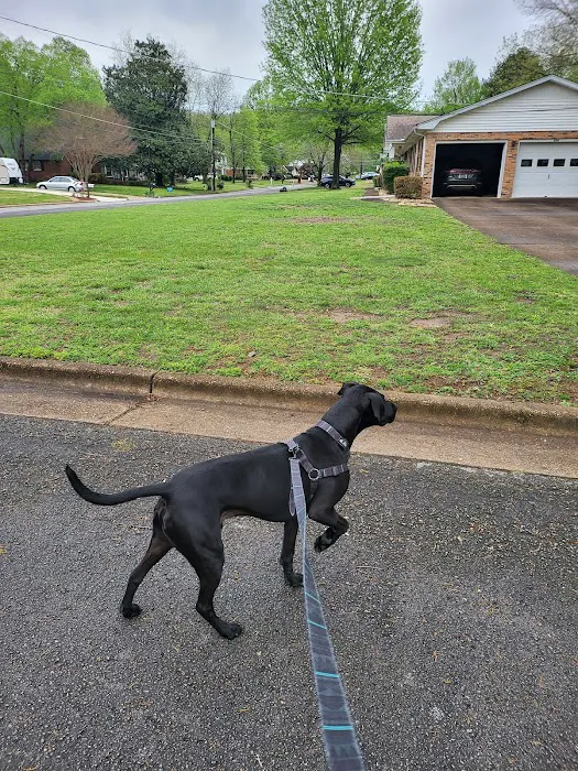 Towne Park Animal Care Center Picture 9