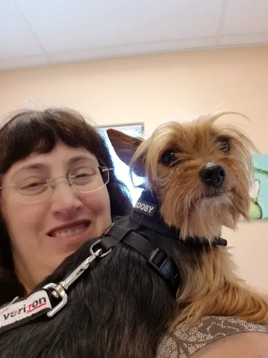 Animal Medical Clinic P.C. Picture 9