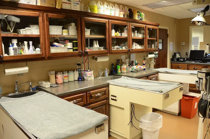 Limestone Veterinary Clinic Picture 2
