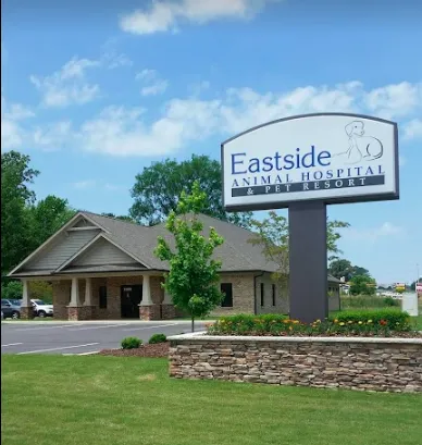 Eastside Animal Hospital Picture 7