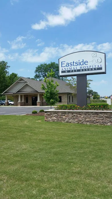 Eastside Animal Hospital Picture 6